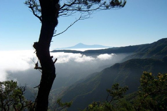 Insel im Nebel Insel im Nebel