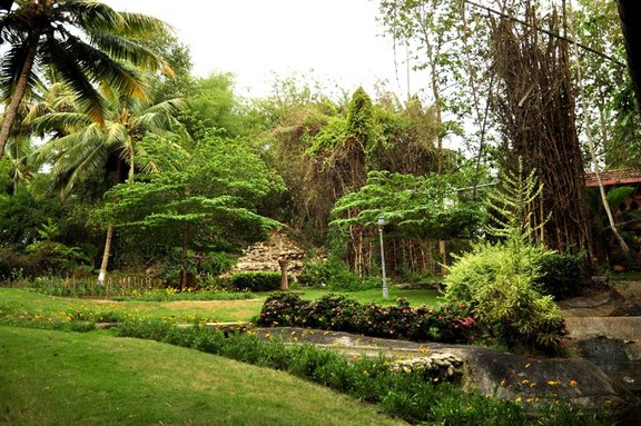 Der Garten Der Garten
