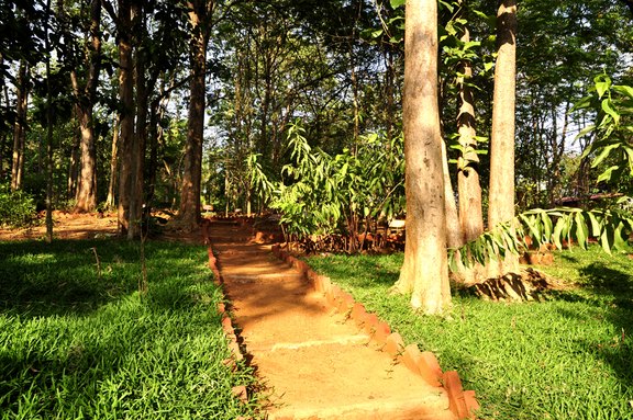 Der Garten Der Garten