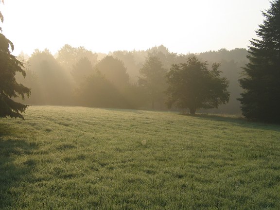 Teutoburger Wald