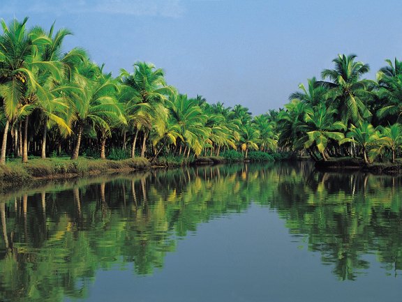 Kerala-Backwaters
