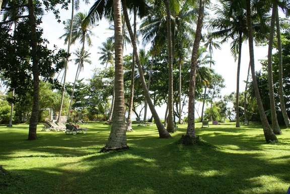 Surya Lanka - der Garten Surya Lanka - der Garten